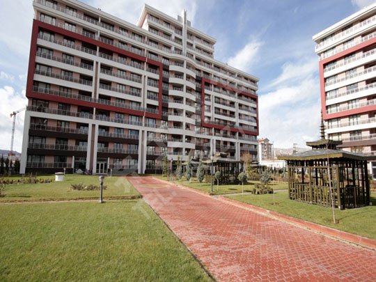 ?；⒅楸厣皾{怎樣“保存”？